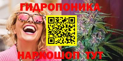 дживик Славгород