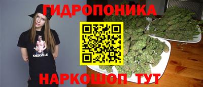 PSILOCYBIN Сланцы